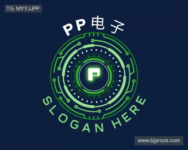 关于PP电子网址