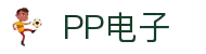PP电子(中国)有限公司官网